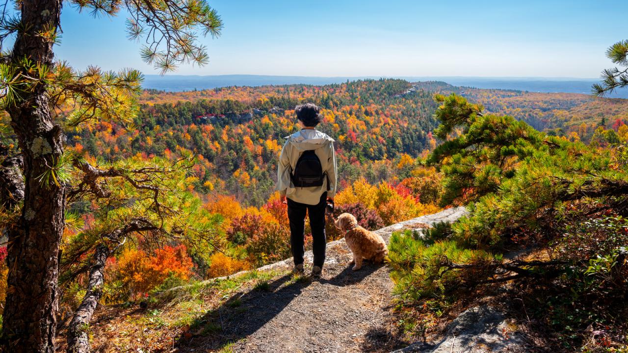 Hikes northwest barwick coastal alpine Short and sweet hiking trails near me perfect for a quick escape