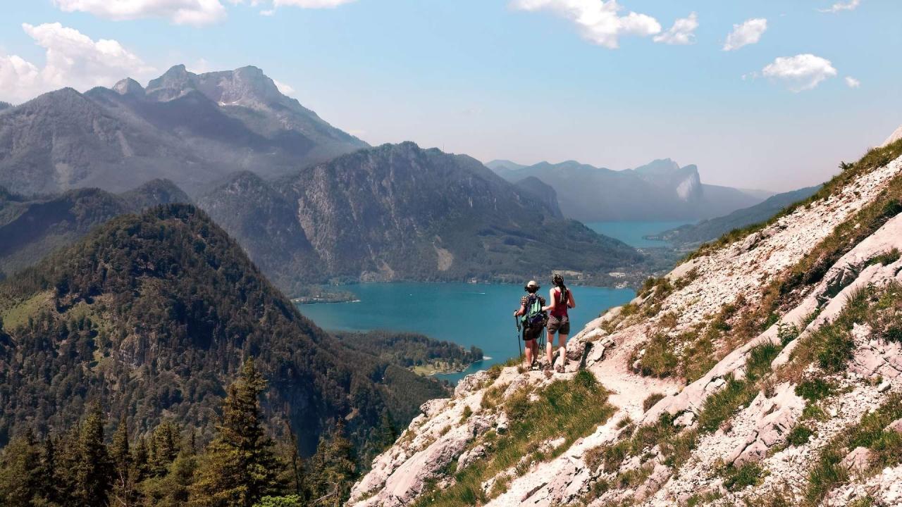 Explore amazing hiking trails near me with stunning forest views