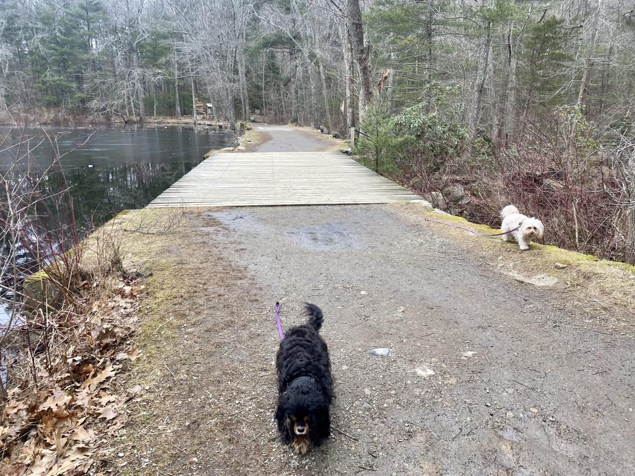 Hiking walking woods thatcher running forest family cook county trailside museum people trail preserves Nearby parks with walking trails suitable for families