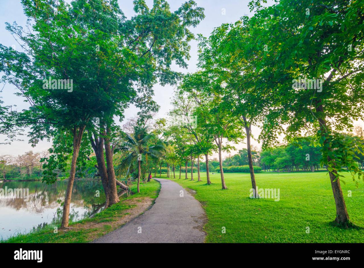Best parks for leisurely walks near me with paved paths