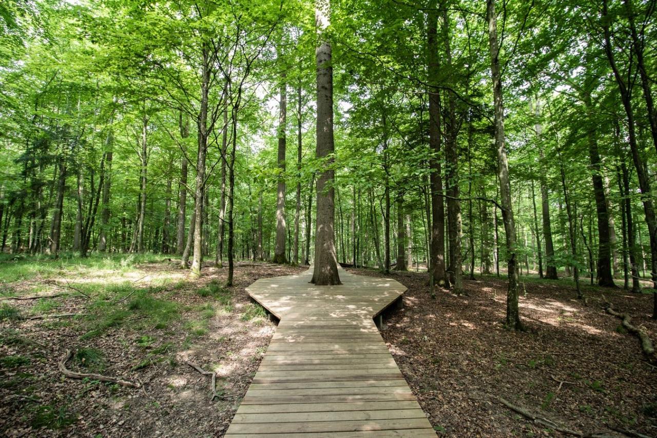 Finding nearby parks with accessible walking trails for seniors