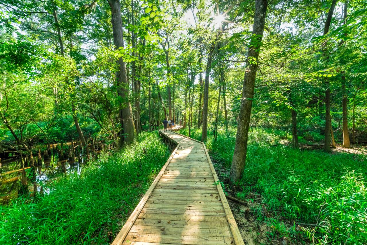 Wisconsin waterfall parks falls copper doughboy hike waterfalls Nearby parks with easy accessible walking paths