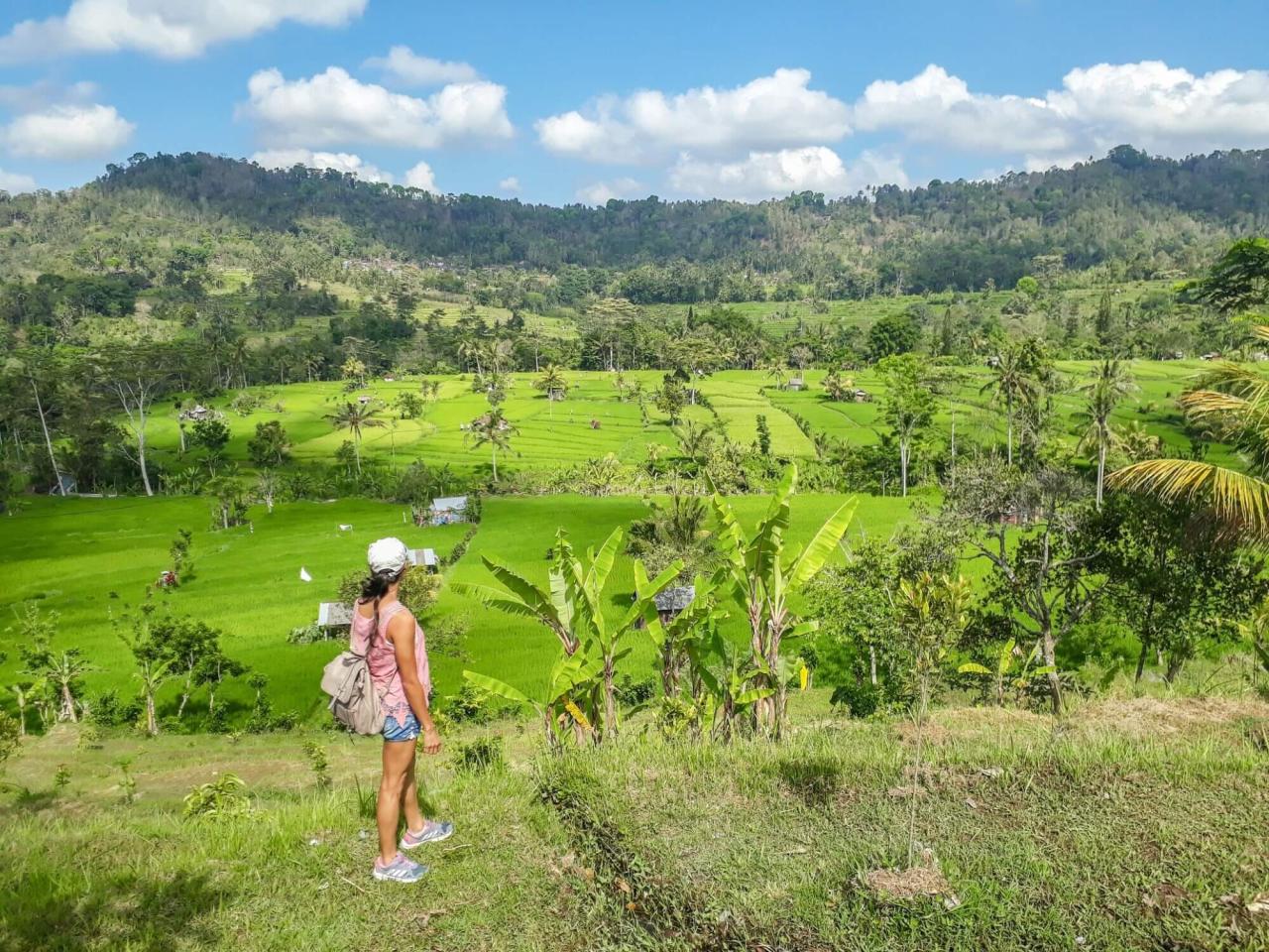 Challenging yet rewarding hiking trails near me with rewarding views