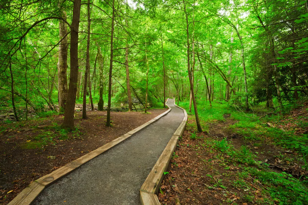 Nearby parks with paved walking trails accessible for wheelchairs