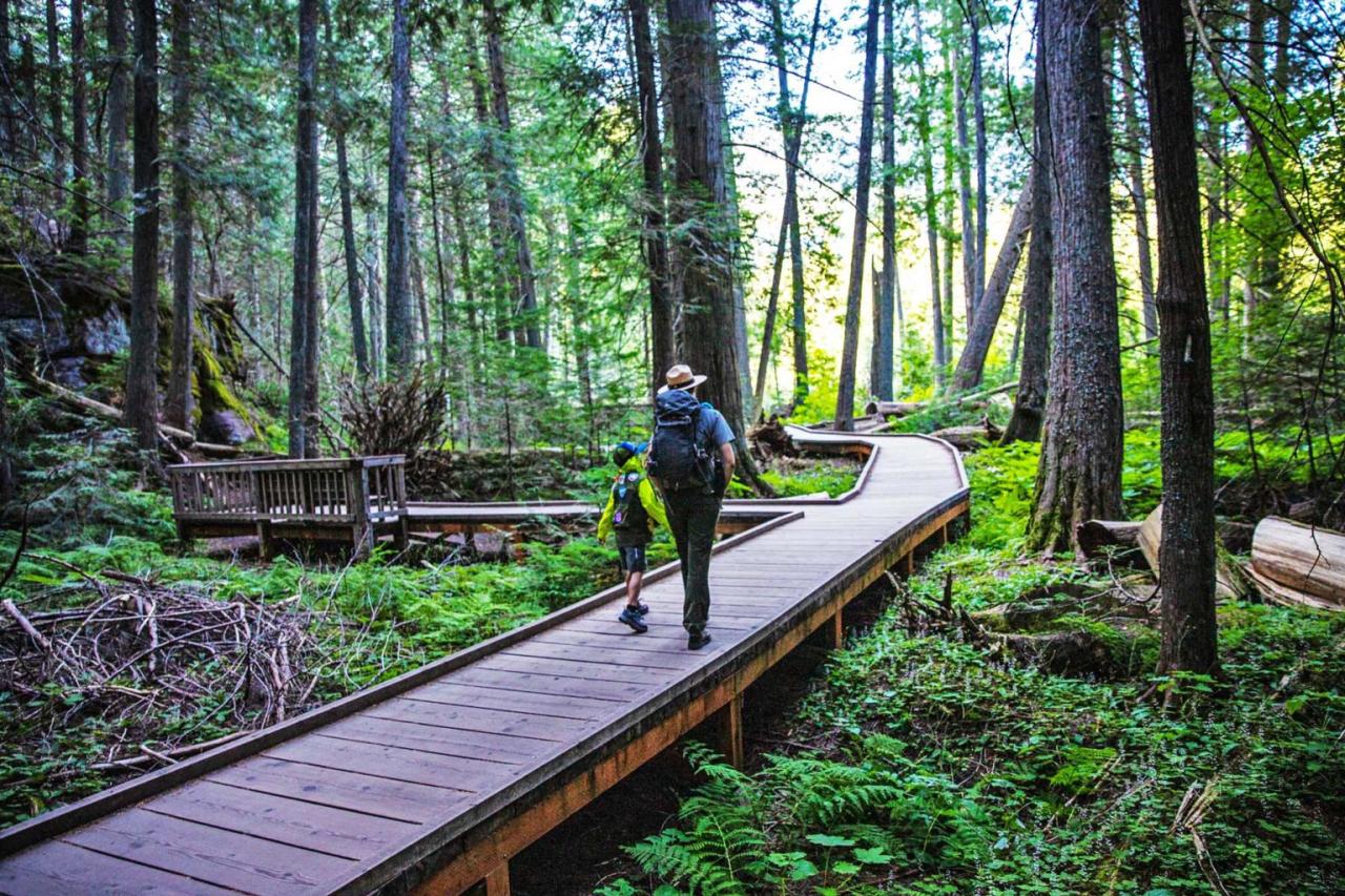 Glacier park hikes recommendations Glacier park hikes recommendations