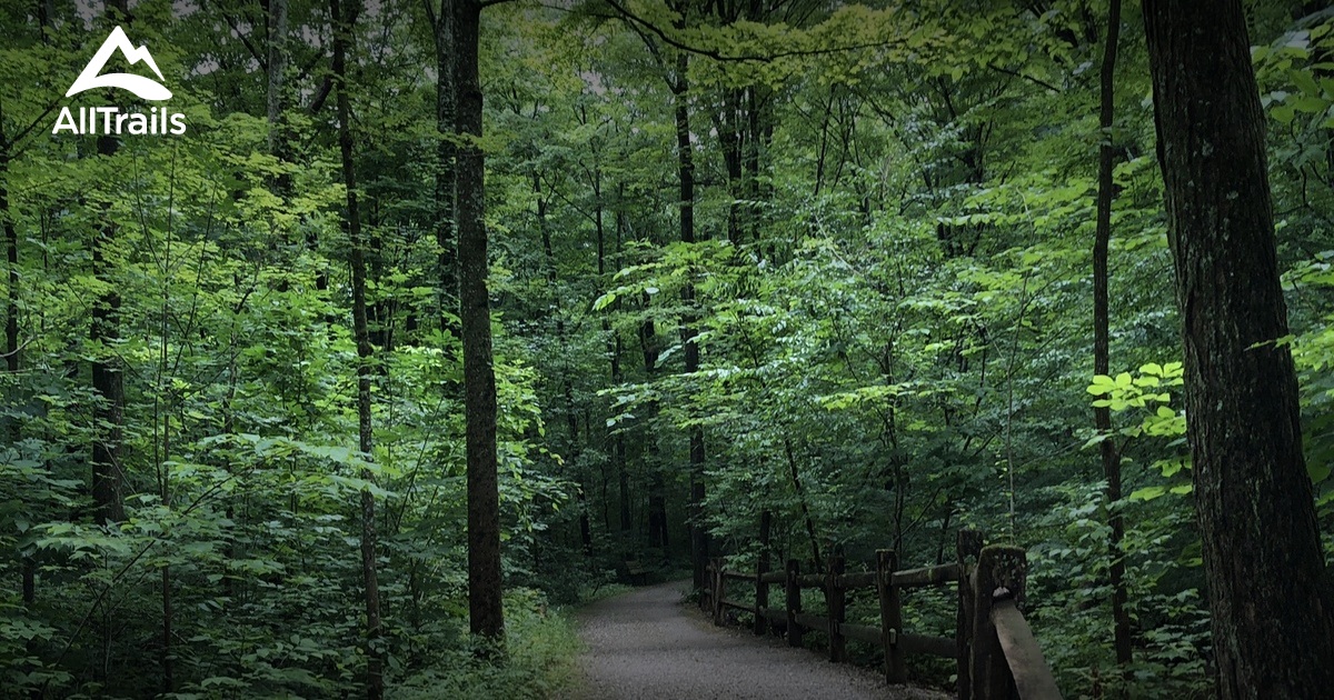 Find the most picturesque nature hikes near my location