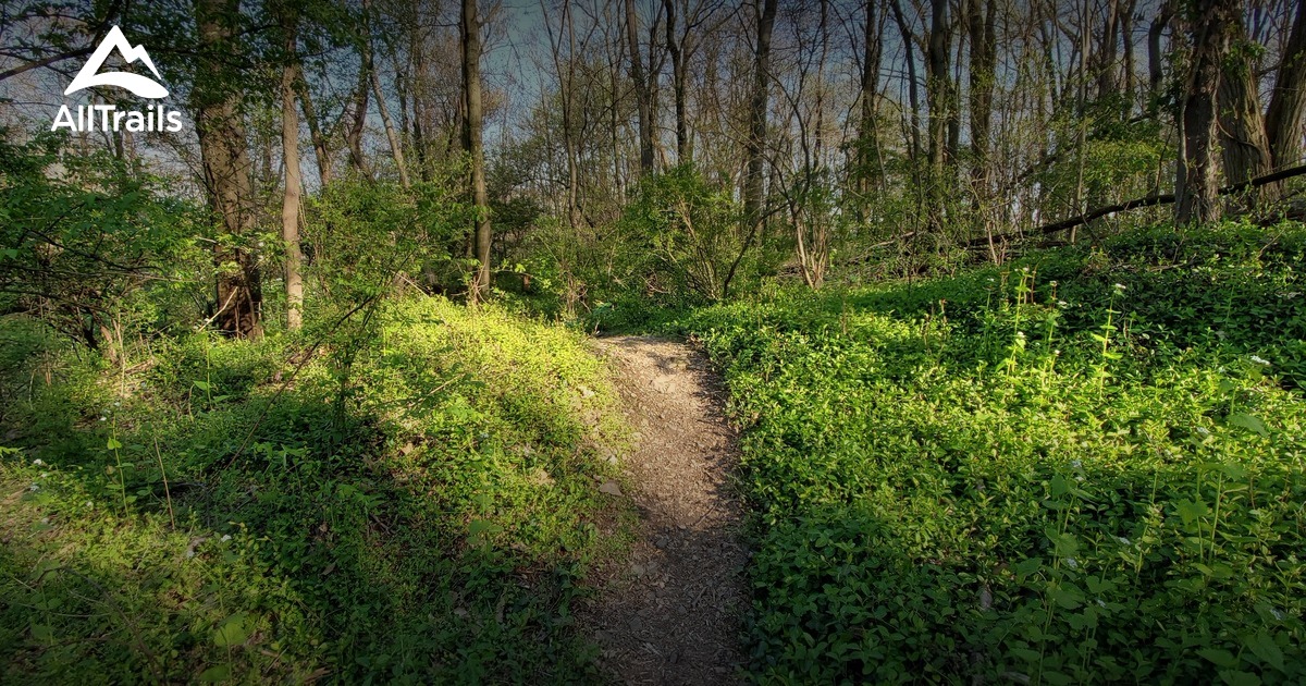 Best parks near me with well-maintained walking trails