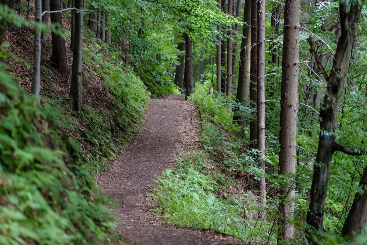 Discovering hidden gem hiking trails near my location