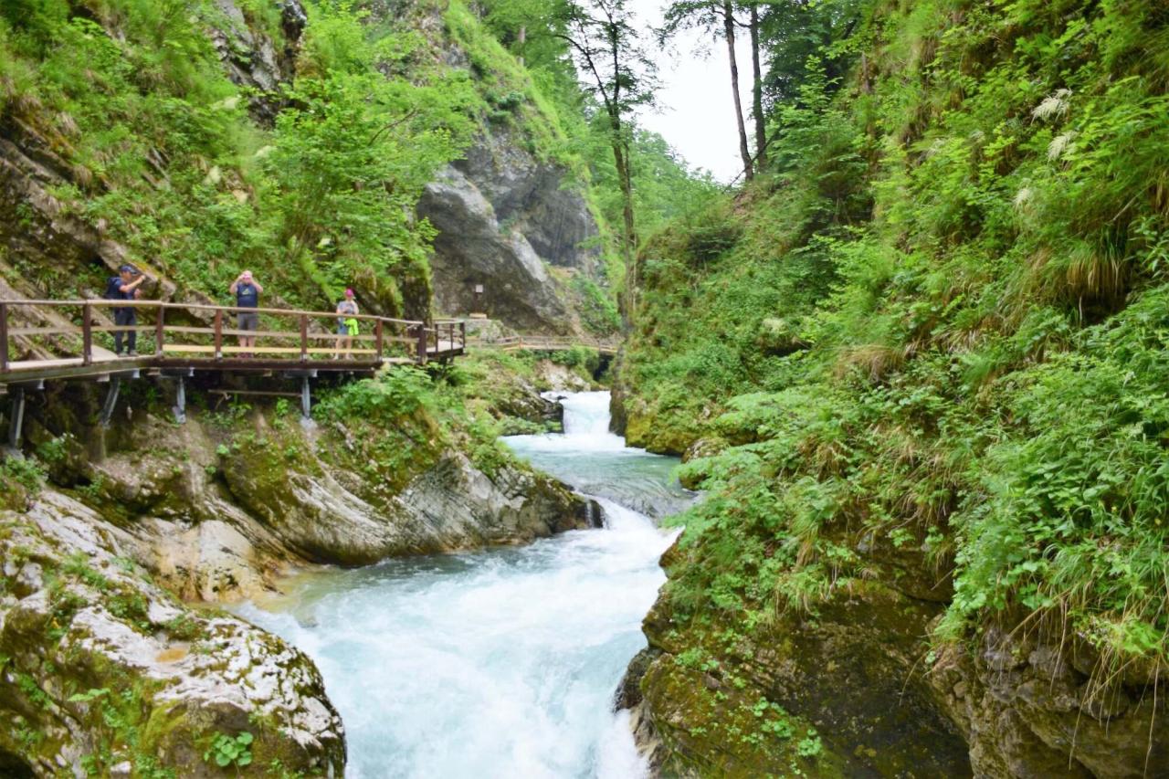 Challenging yet rewarding hiking trails near me with rewarding views