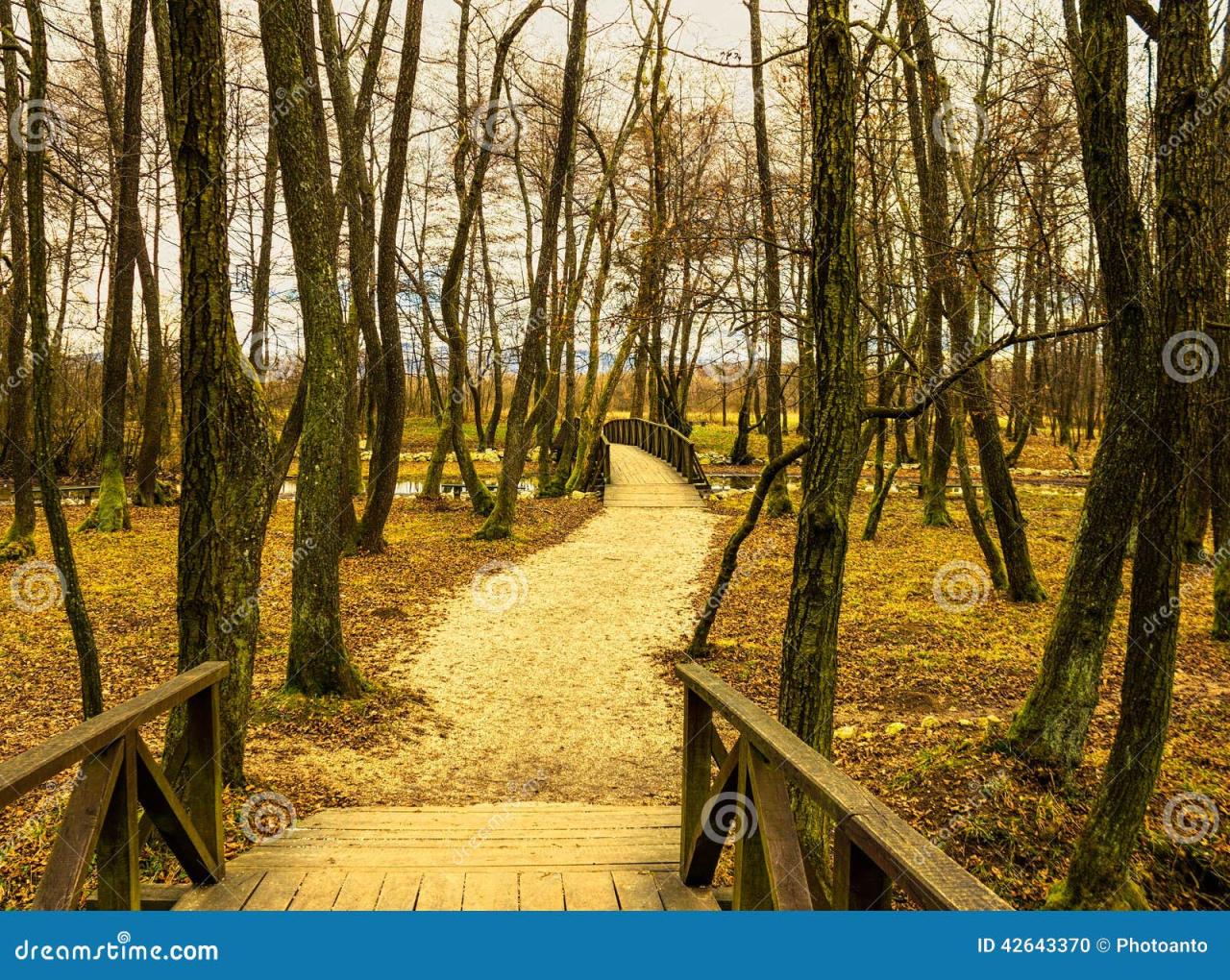 Closest park with paved walking trails for seniors