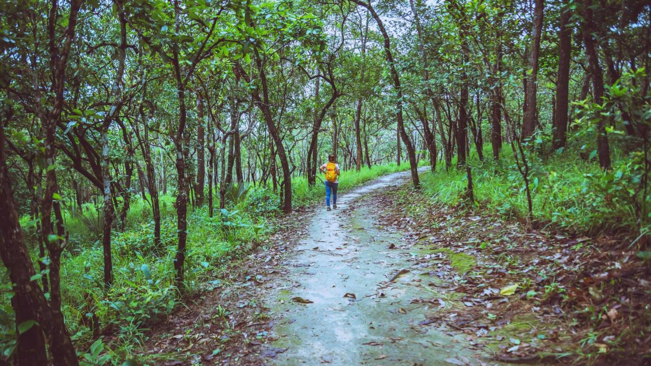 Find peaceful nature trails near me for a relaxing walk