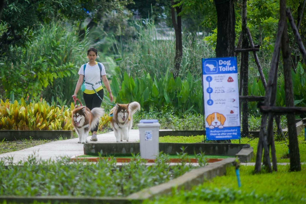 Nearby parks with dog-friendly walking trails and picnic areas