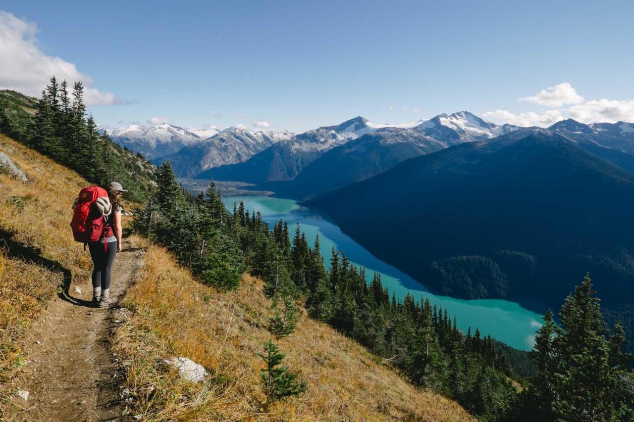 Top-rated hiking trails near me for a challenging but rewarding hike