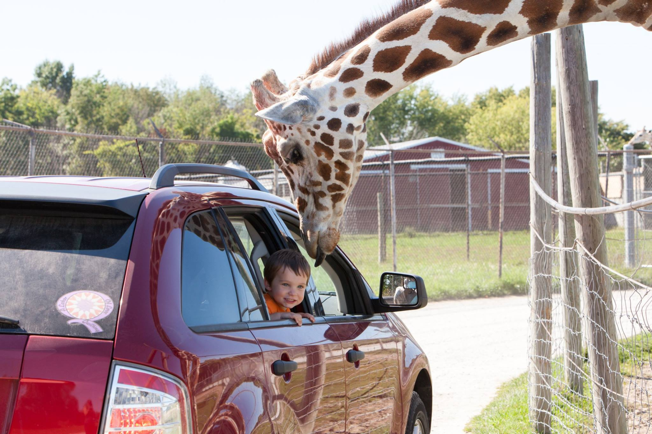 Find the closest park with easy walking trails and wildlife viewing