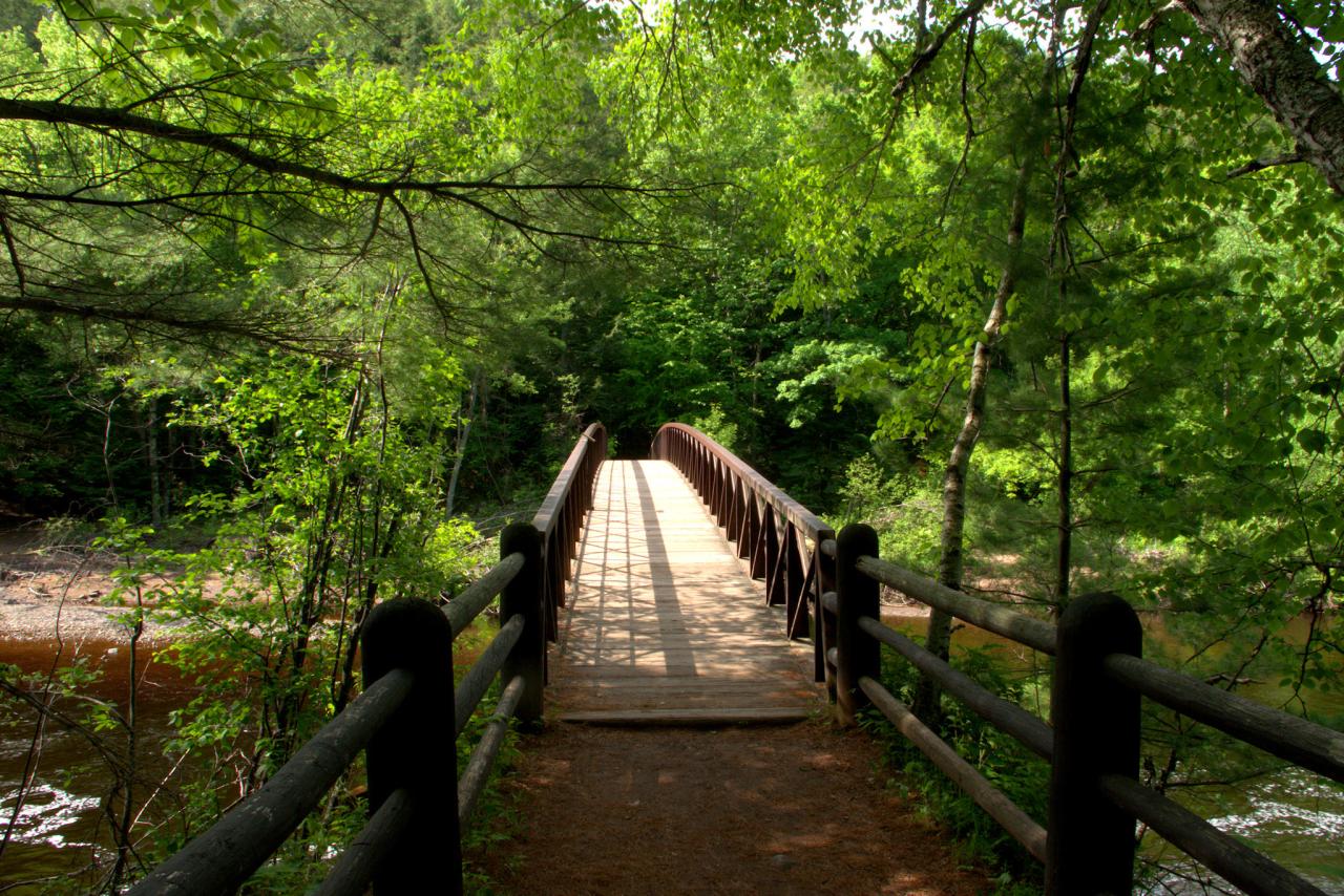 Nearby parks with easy accessible walking paths