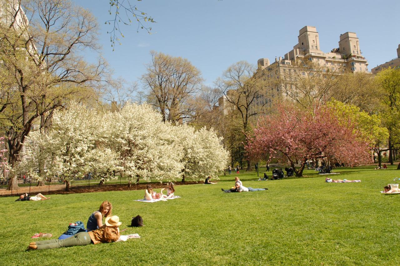 Closest parks with walking trails and picnic areas