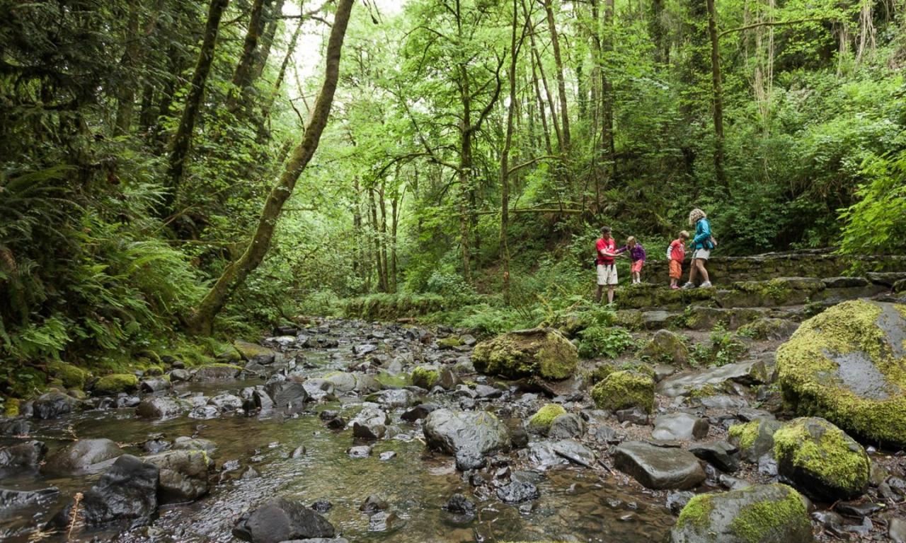 Short and easy hiking trails near me perfect for a quick getaway