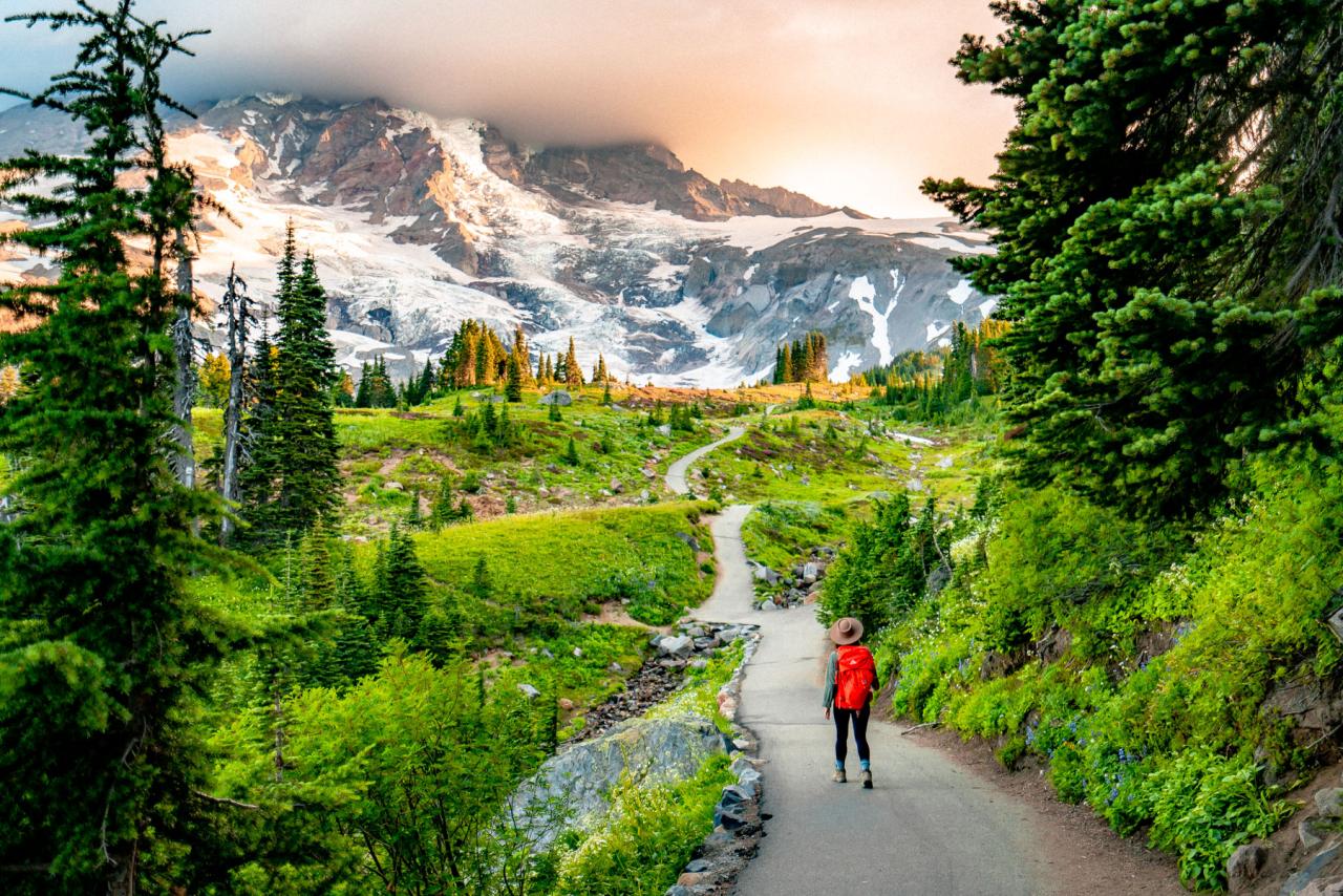 Easy scenic walking trails near my current location