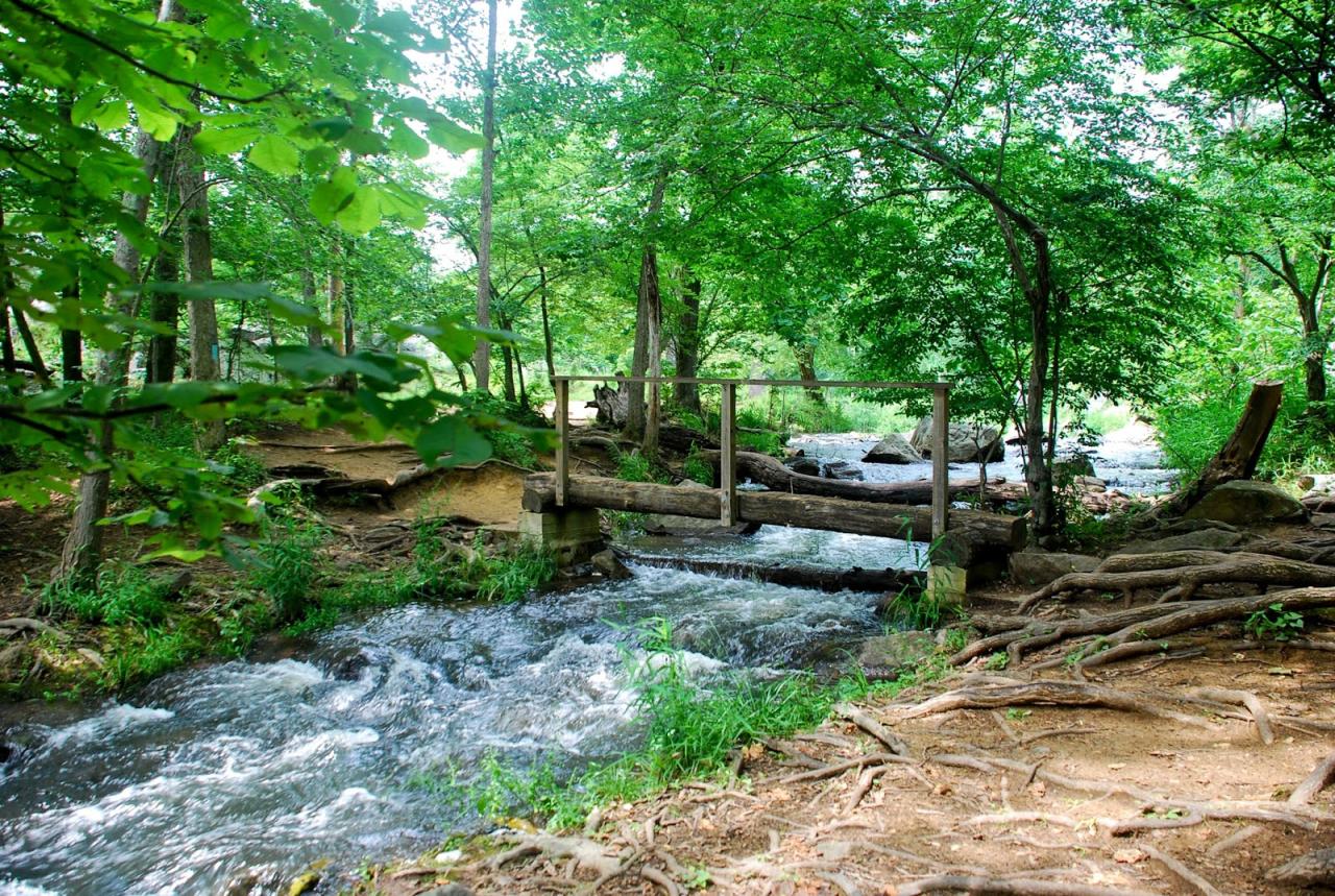 Easy walking trails near me with scenic views