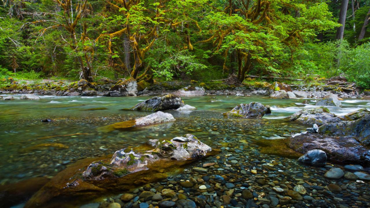 Finding the nearest park with well-maintained hiking trails