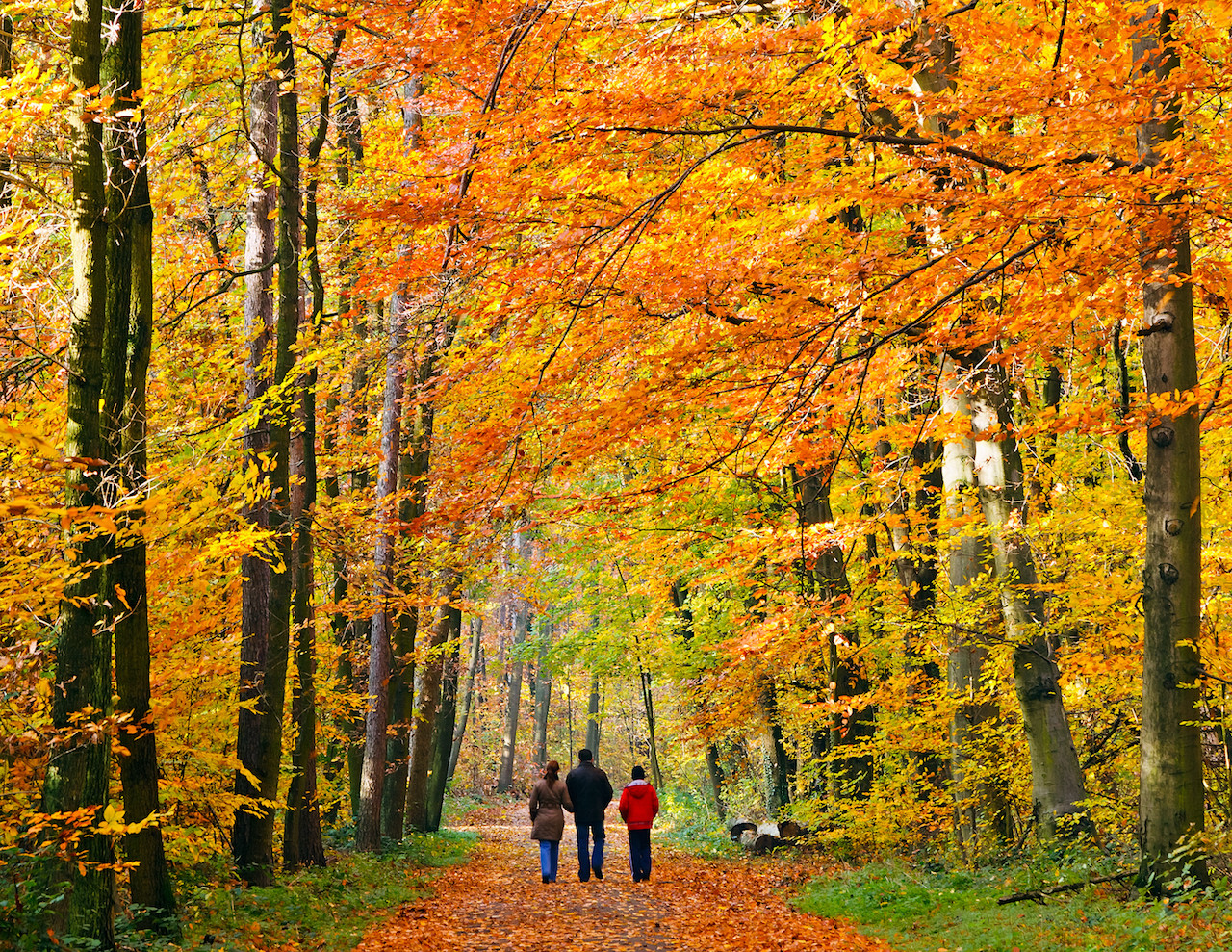 Looking for family-friendly hiking trails near me