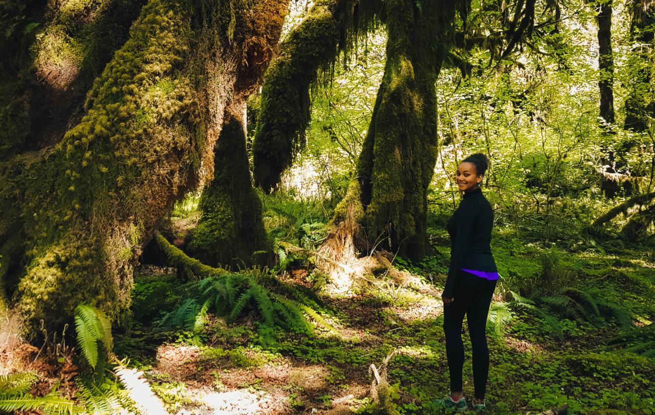 Looking for easy hikes near me with stunning scenery