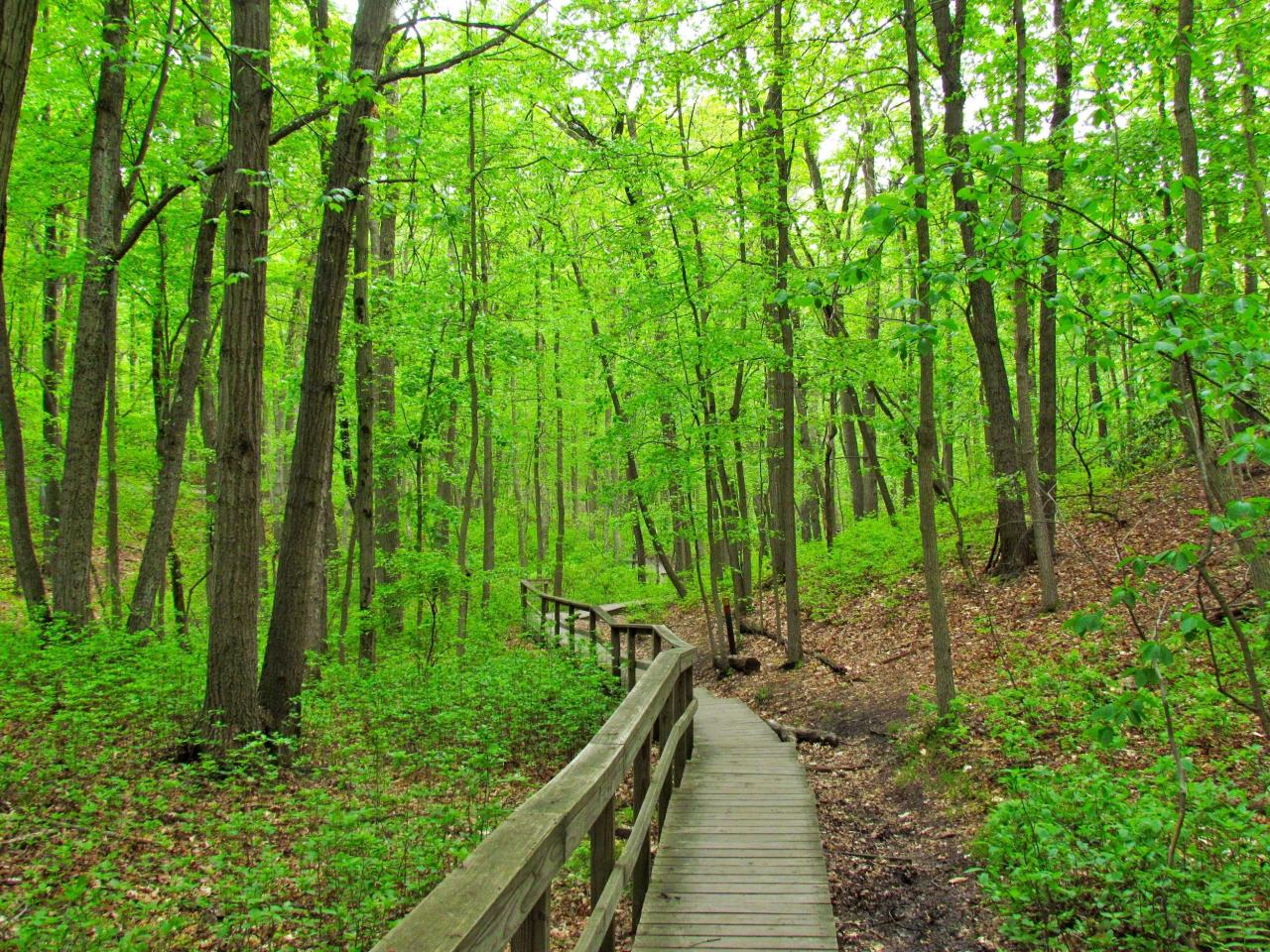 Easy walking trails near me with scenic views
