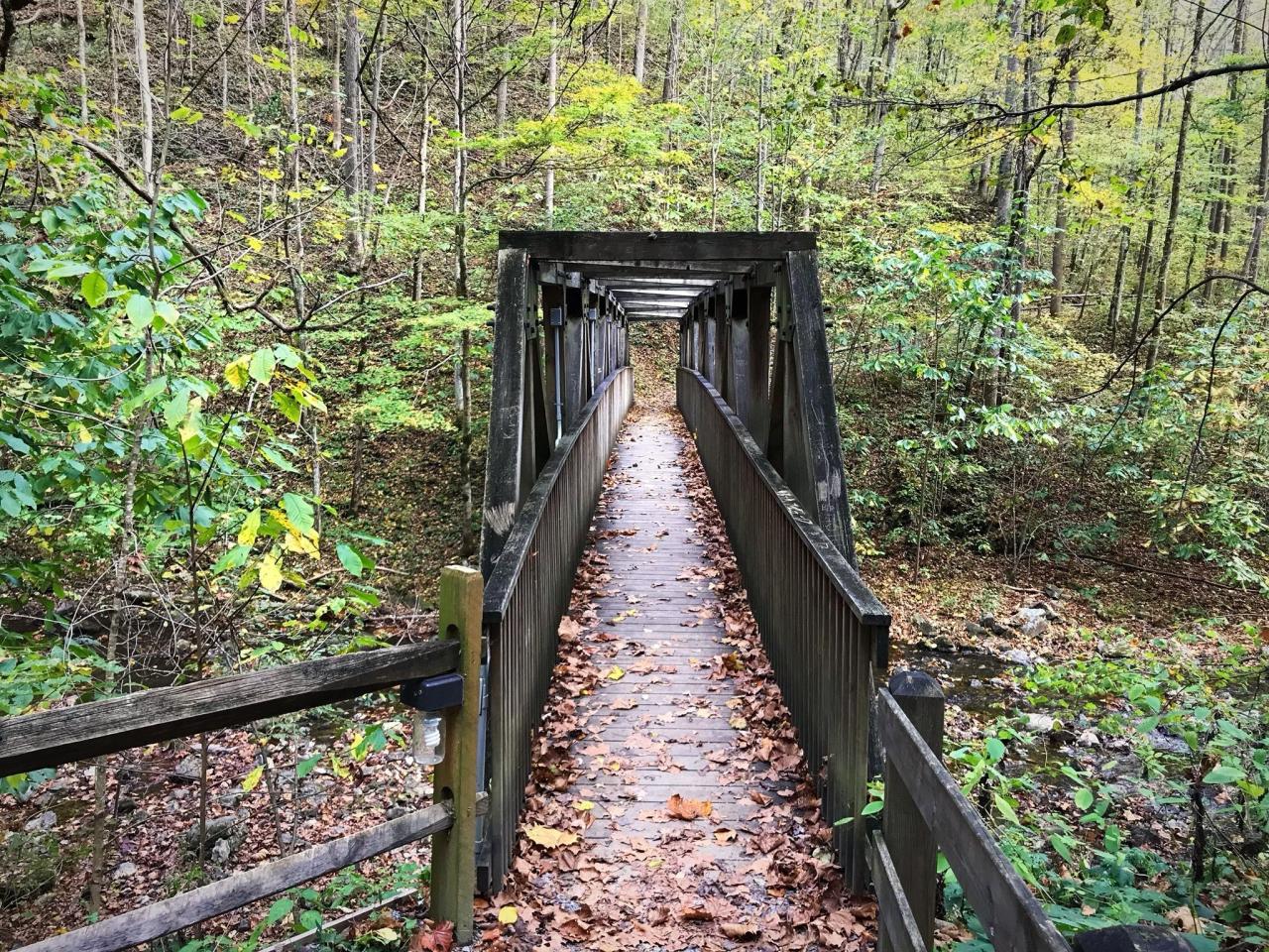 Hikes