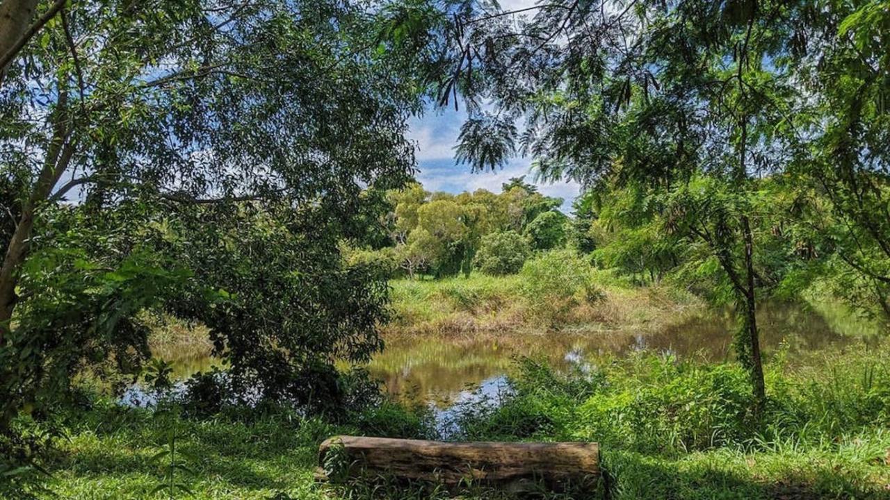 Discovering hidden gem hiking trails near my location