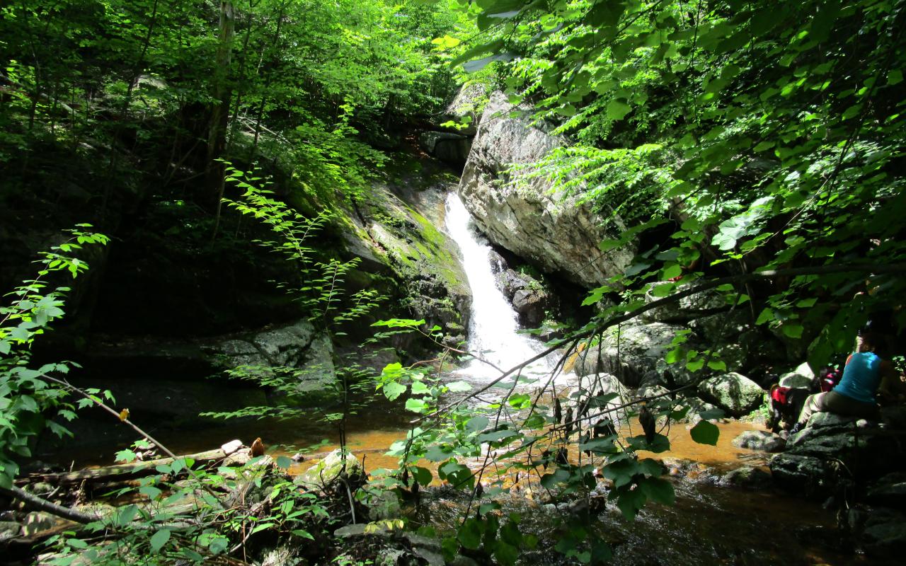 Short and easy hiking trails near me for a quick afternoon escape