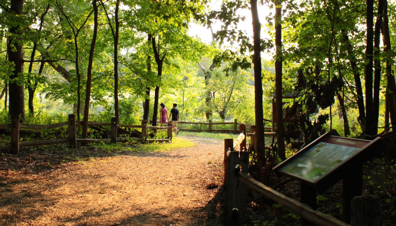 Best places for a relaxing nature hike near me with shaded trails