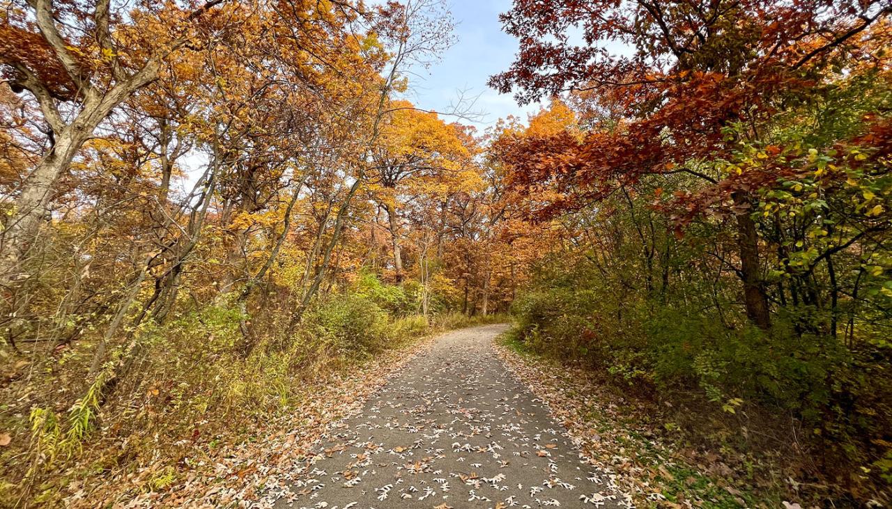 Easy nature trails near me suitable for families with kids