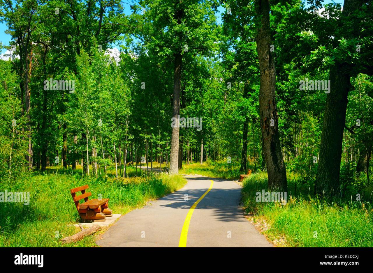 Nearby parks with shaded walking trails for hot summer days