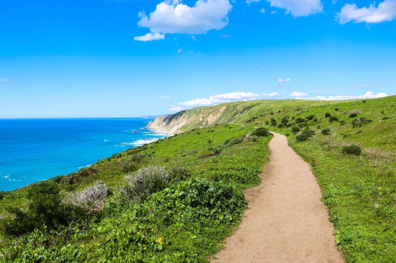 Easy to moderate hikes near me with shaded trails