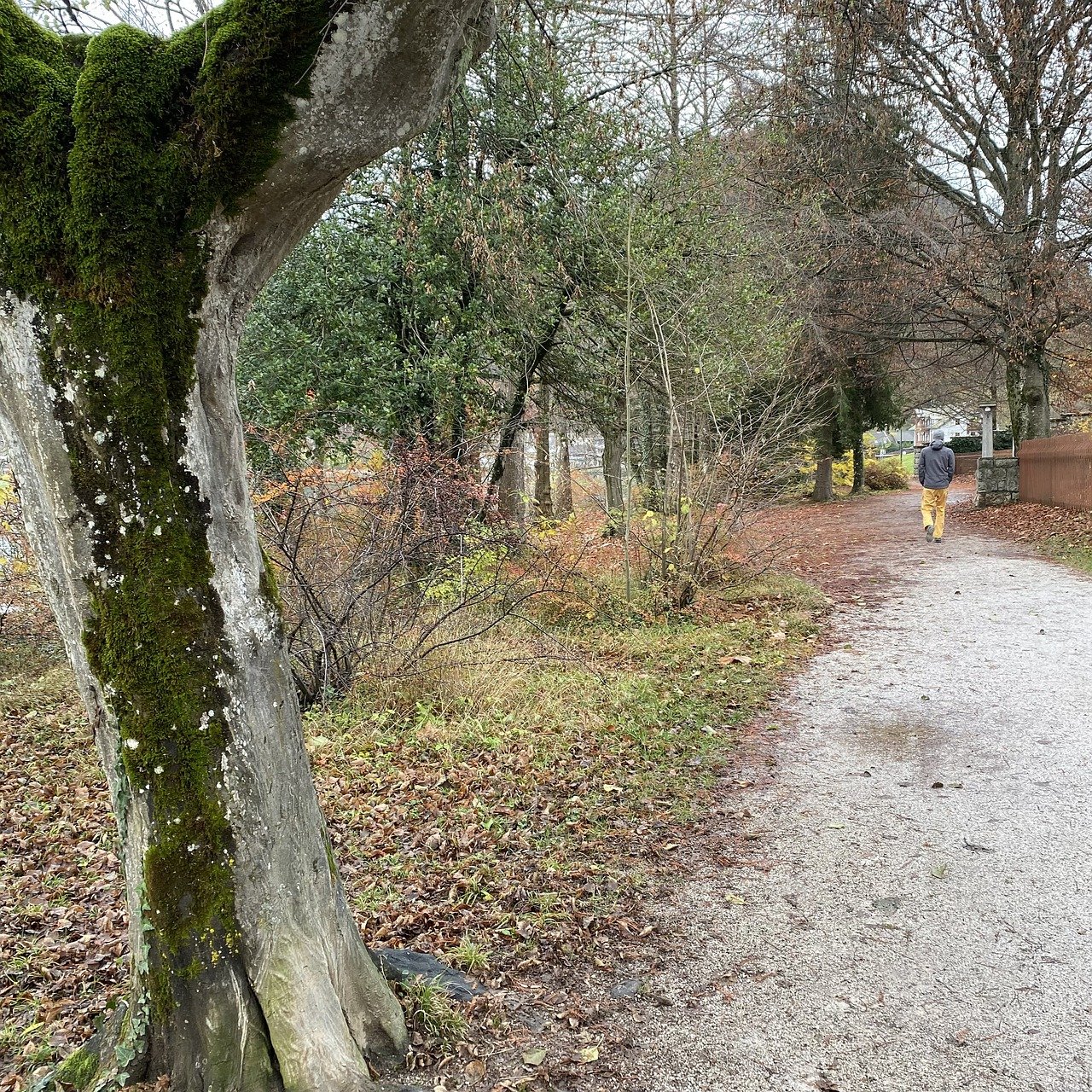 Nearby parks with well-maintained walking paths and restrooms